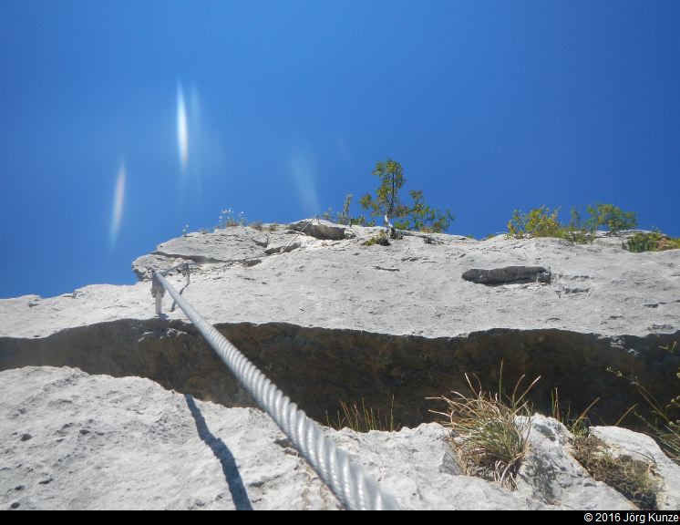 Brenta2016
