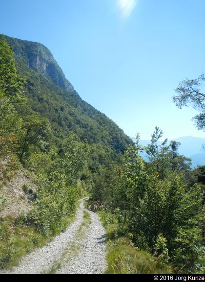 Brenta2016