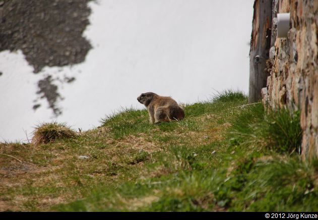DarmstaedterHuetteJuni2012