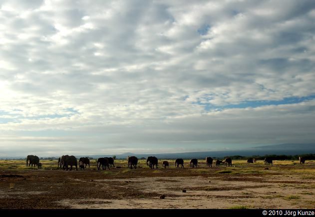 Kenia2010