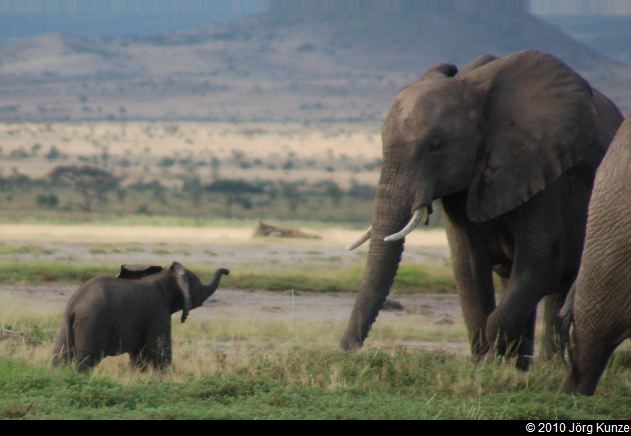 Kenia2010