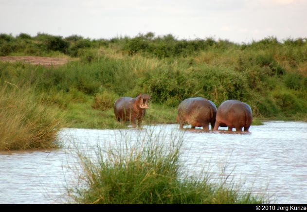 Kenia2010
