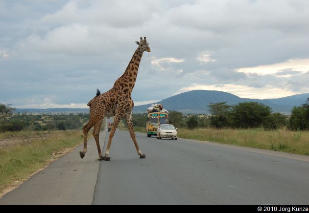 Kenia2010
