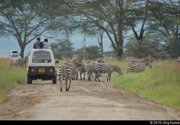 Kenia2010