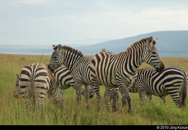 Kenia2010