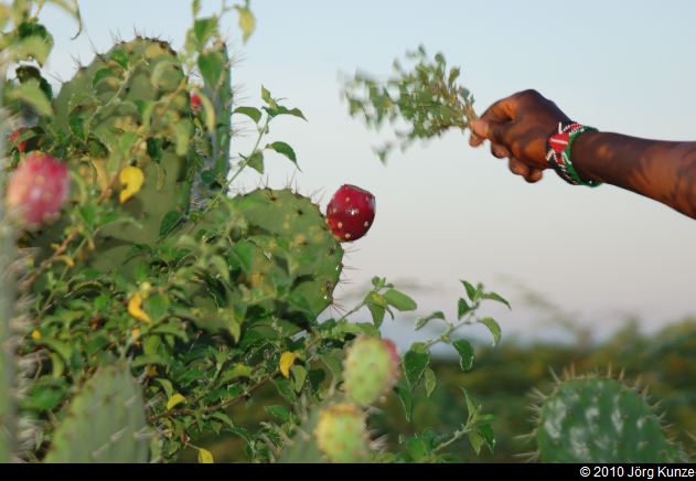 Kenia2010