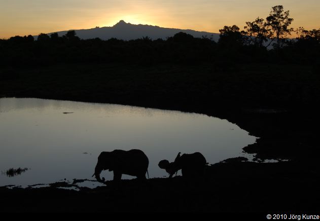 Kenia2010