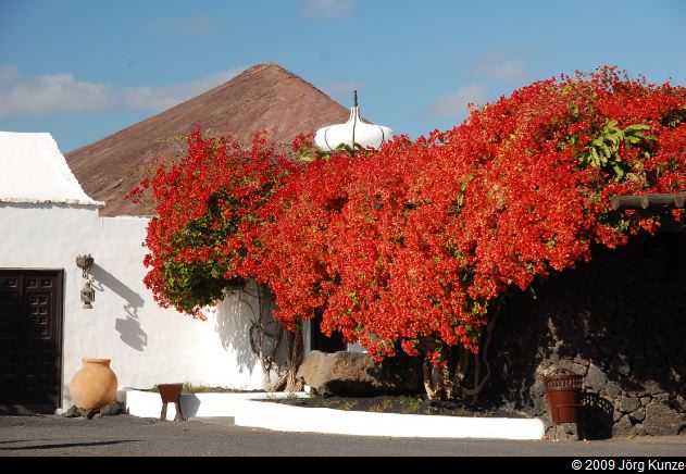 Lanzarote2009