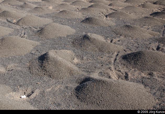 Lanzarote2009