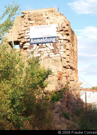 LoebejuenAug2008