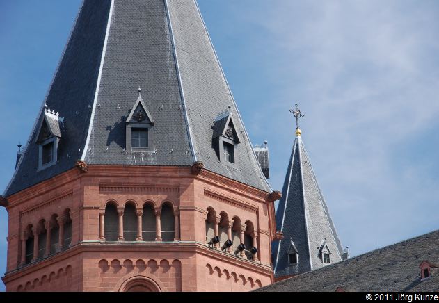Mainz2011