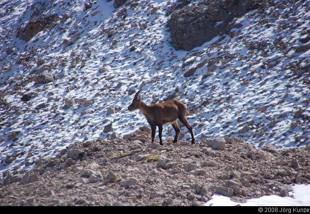 Marmolada2008