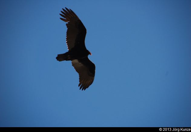 SanFranciscoSouth2013