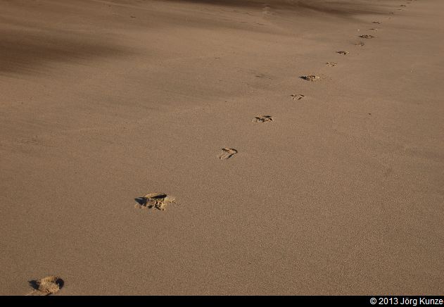 SanFranciscoSouth2013