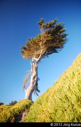 SanFranciscoSouth2013