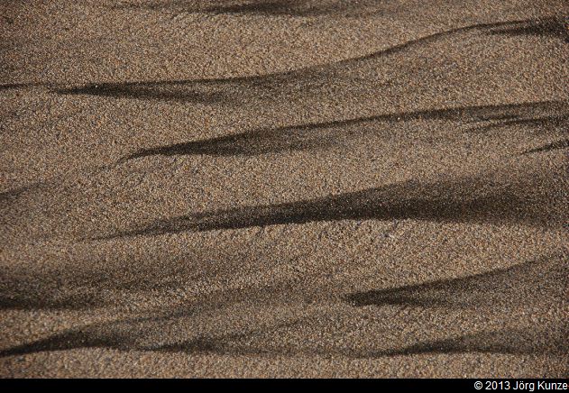 SanFranciscoSouth2013