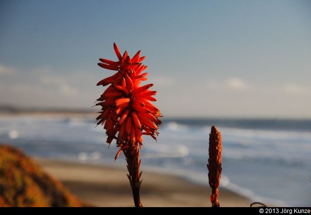 SanFranciscoSouth2013