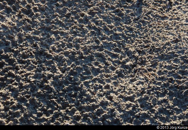 SanFranciscoSouth2013