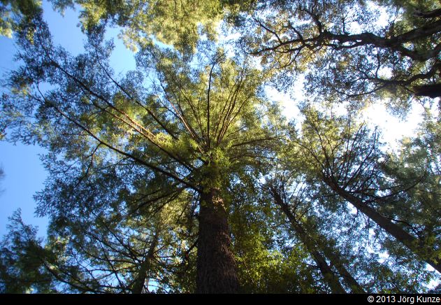 SanFranciscoSouth2013