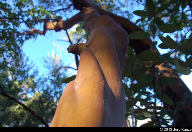 SanFranciscoSouth2013