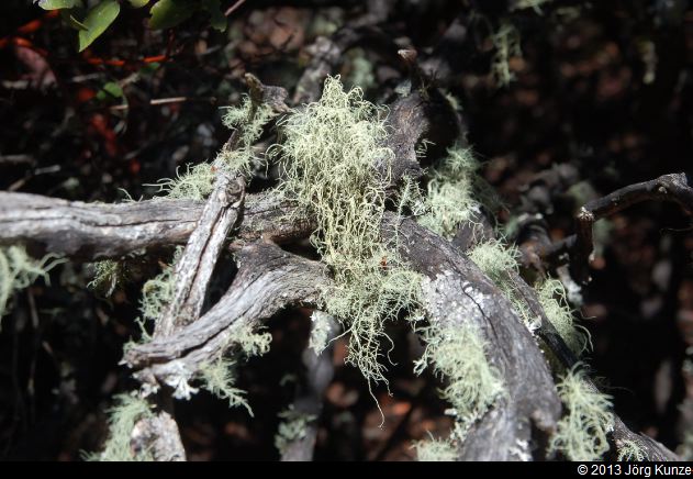 SanFranciscoSouth2013