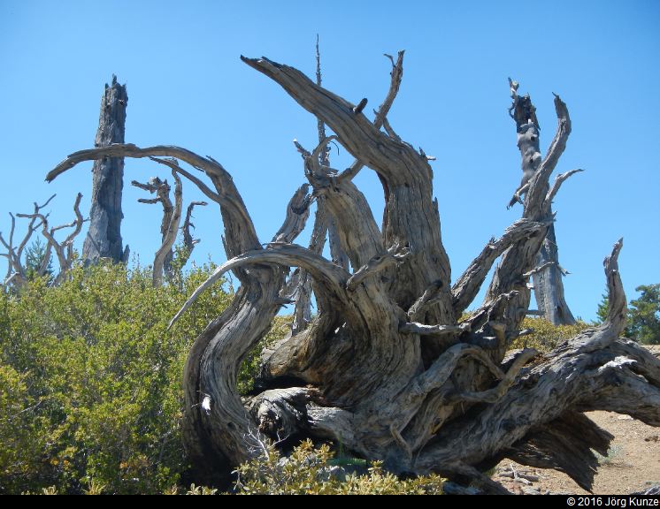SanGabrielMountains2016