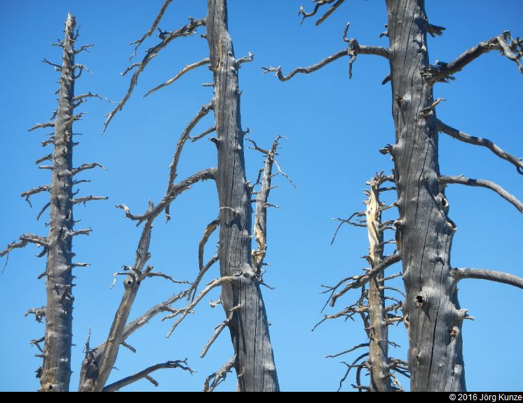 SanGabrielMountains2016