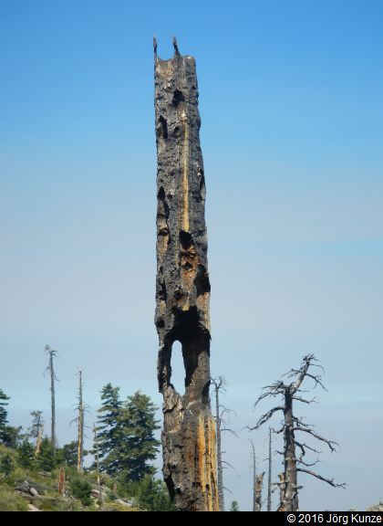 SanGabrielMountains2016