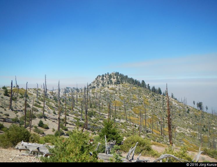 SanGabrielMountains2016