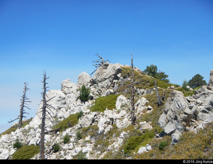 SanGabrielMountains2016