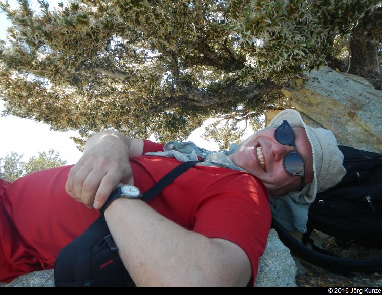 SanGabrielMountains2016