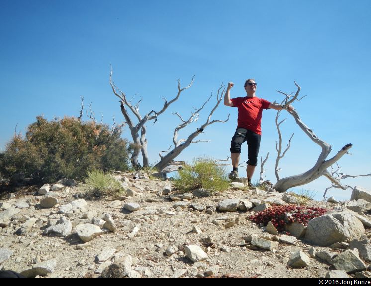 SanGabrielMountains2016