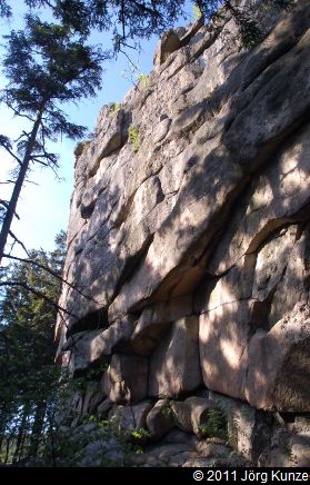 SchierkeJuni2011