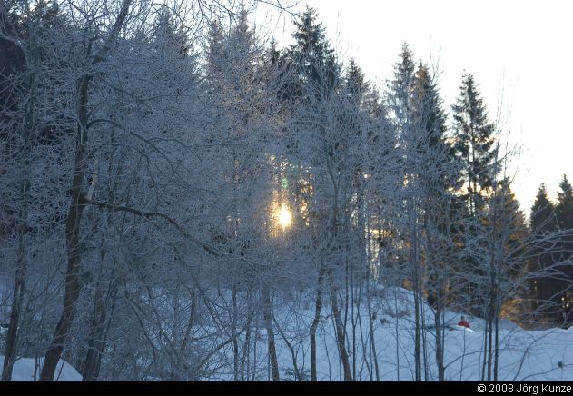 Schwarzwald2008