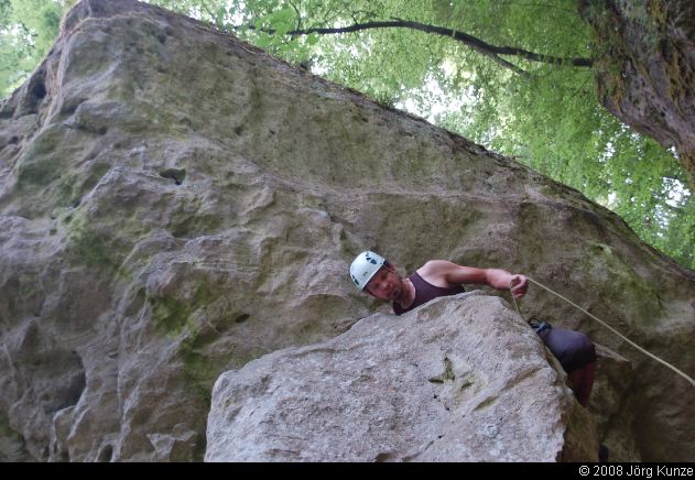 Selter2008