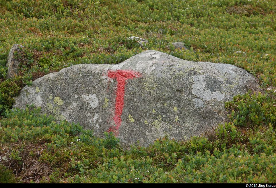 UskedalenJuli2015