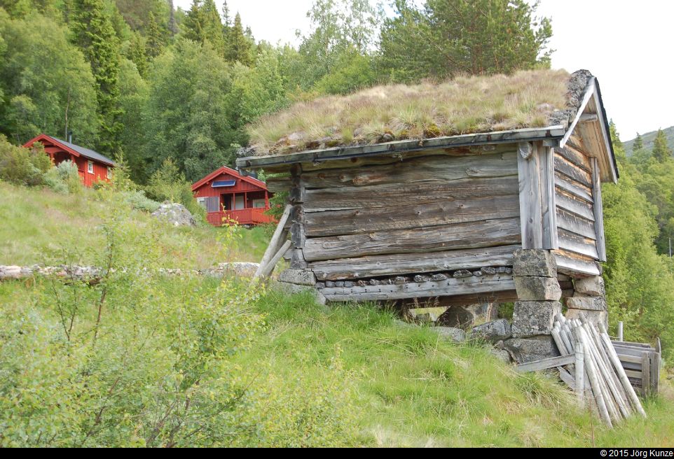 ValleJuli2015
