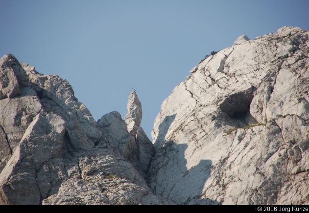WilderKaiser