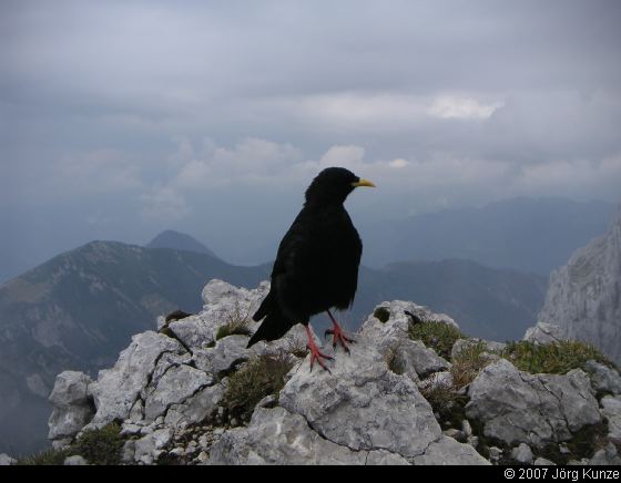 WilderKaiser2007