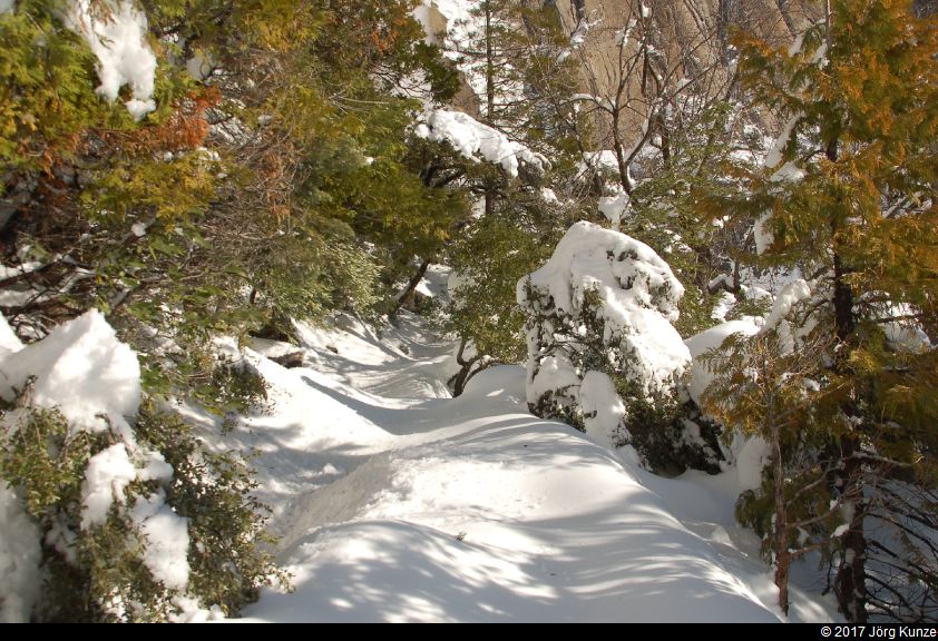 Yosemite2017