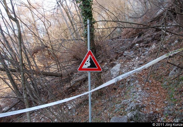 ZuccoDellAngelone2011