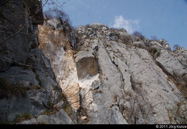 ZuccoDellAngelone2011