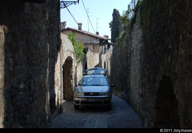 ZuccoDellAngelone2011