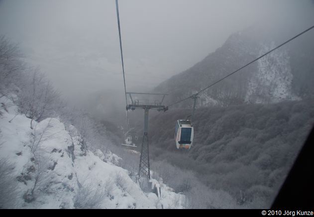 ZuccoUndBobbio2010