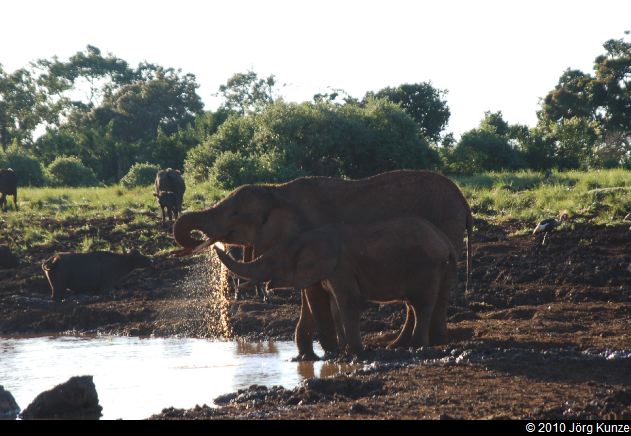 Kenia2010
