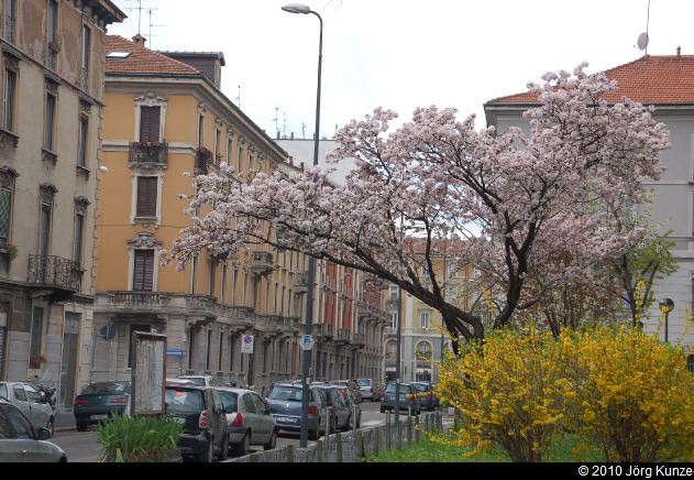 Mailand2010