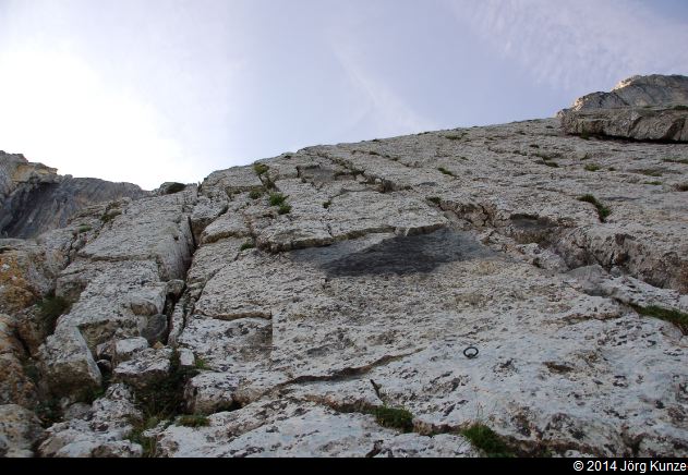 MirroirDArgentine2014