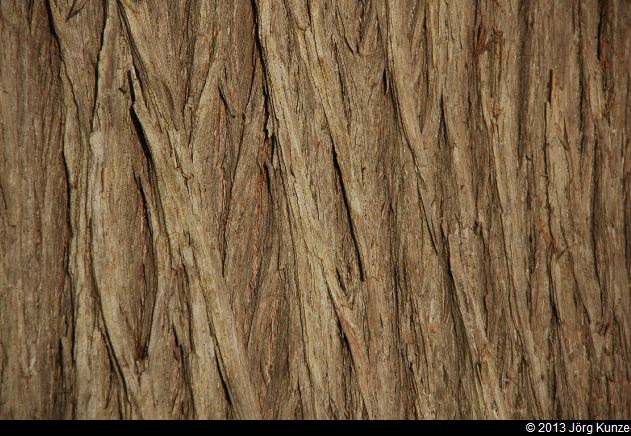 SanFranciscoSouth2013