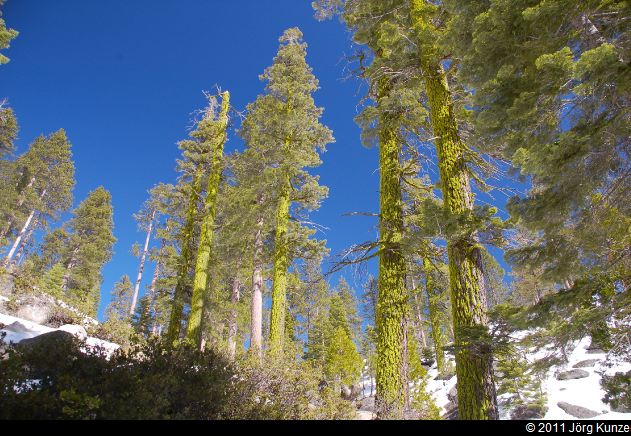 Yosemite2011