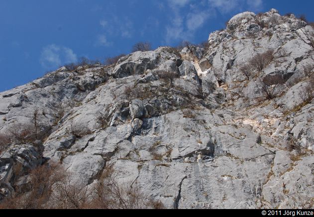 ZuccoDellAngelone2011